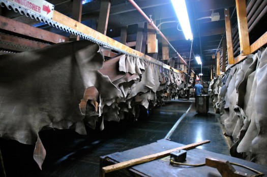 Drying Leather Hides at Horween Leathers Drying Leather Hides at Horween Leathers